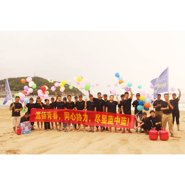 百忙之中，公司組織員工海邊旅游